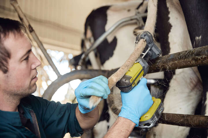 SHOOF Kuhschwanztrimmer TailWell Titanium